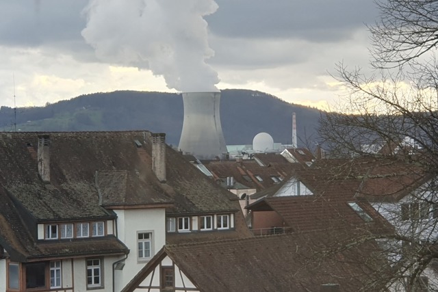 Das Atomkraftwerk AKW Leibstadt (Schwe... aus dem Hochrhein-Gymnasium Waldshut. | Foto: André Hönig Das Atomkraftwerk AKW Leibstadt (Schwe... aus dem Hochrhein-Gymnasium Waldshut. | Foto: André Hönig