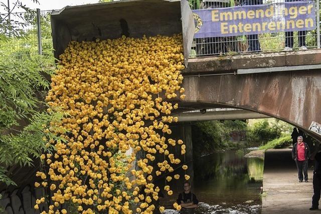 Der Lion Club Emmendingen veranstaltet sein traditionelles Entenrennen auf dem Brettenbach