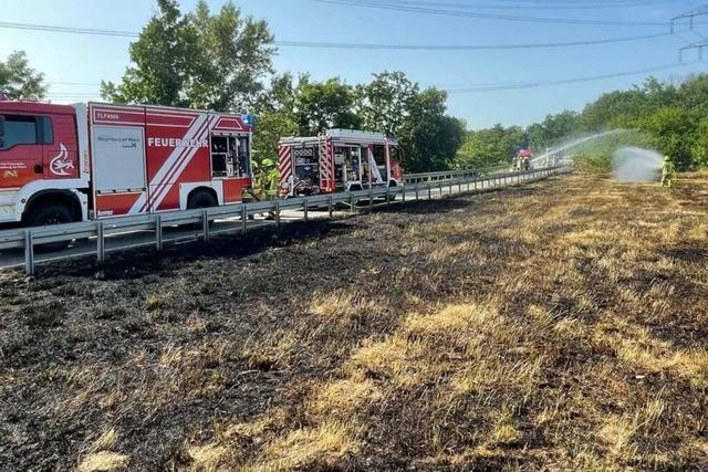 Brennende Wiese, Staub beim Bcker, Dampf in Firma: Markgrfler Feuerwehren waren gefordert