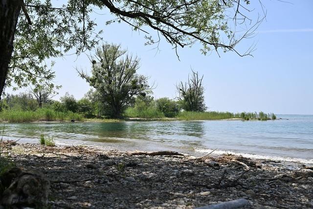 Neuer FKK-Strand am Bodensee geplant
