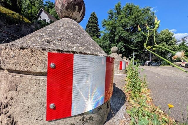 Freiburgs geheimer Exportschlager: Ein poller Erfolg