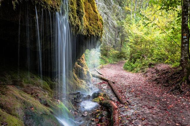 Diese Wasserflle im Schwarzwald sind ideale Ausflugsziele fr heie Tage