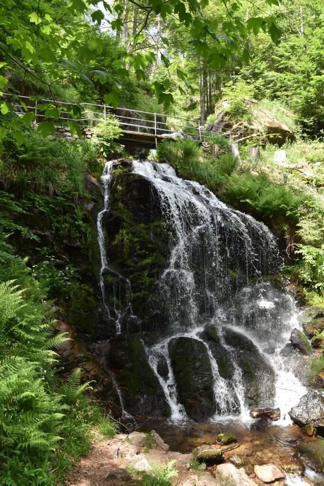 Weit verzweigt: der Fahler Wasserfall | Foto: Nicolai Ernesto Kapitz Weit verzweigt: der Fahler Wasserfall | Foto: Nicolai Ernesto Kapitz
