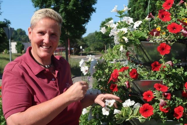 Wie Stadtgrtnerin Sandra Maurer Breisach zu einem blumigen Meisterwerk macht