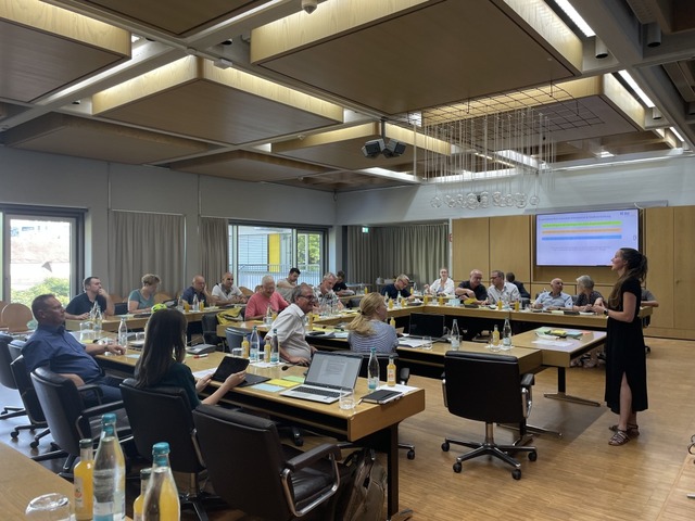 Insgesamt nahmen 22 Mitglieder an der Sitzung teil. | Foto: Stadt Rheinfelden Insgesamt nahmen 22 Mitglieder an der Sitzung teil. | Foto: Stadt Rheinfelden