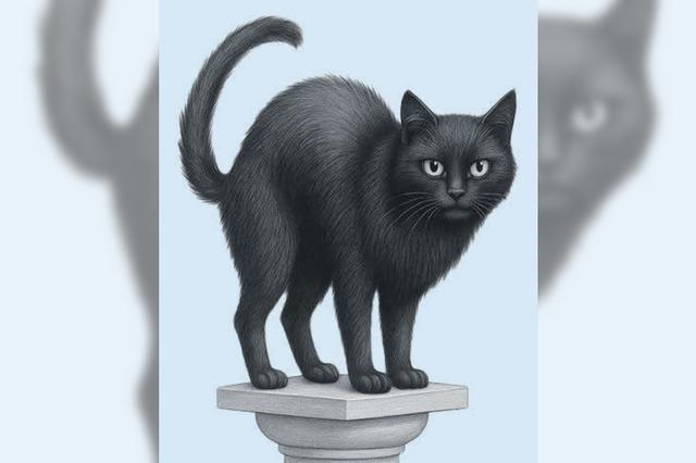 "Nur hohle Wut, sonst nix dabei" – so klagt Kater Hiddigeigei