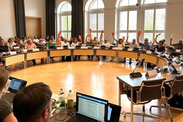 Diese Erfahrungen machen junge Gemeinderte  aus der  sdlichen Ortenau in ihrem ersten Amtsjahr
