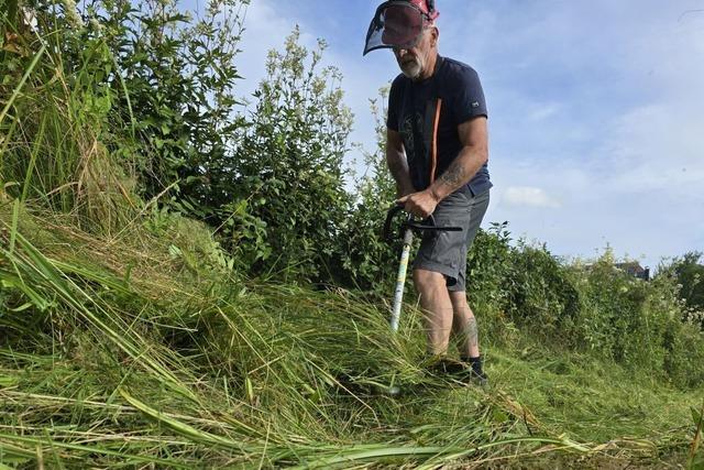Wie drei Grwihler die Wanderwege freihalten