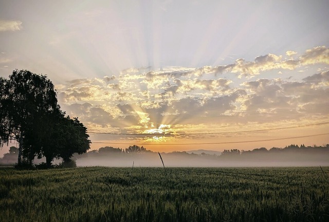   | Foto: Thomas Deusch