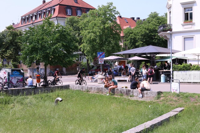 Versickerungsmulde in der Dreikönigsstraße | Foto: Alida Schröder Versickerungsmulde in der Dreikönigsstraße | Foto: Alida Schröder