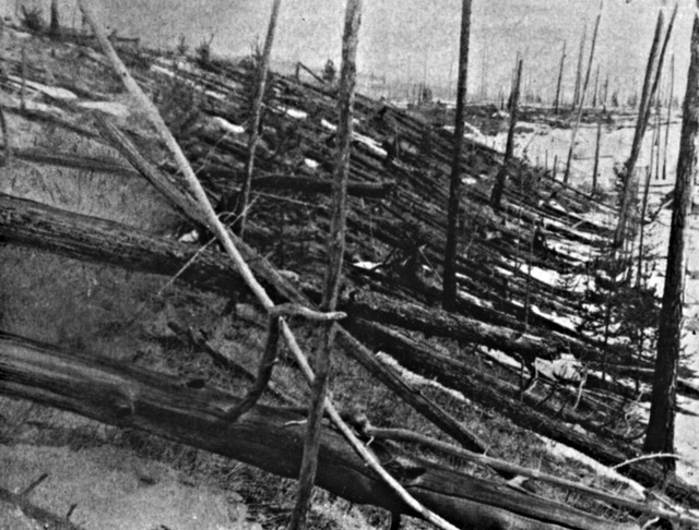 Das Tunguska-Ereignis: Wahrscheinlich ...8 ein Gebiet in Sibirien. (Archivbild)  | Foto: L. Kulik/Russische Akademie der Wissenschaften/dpa