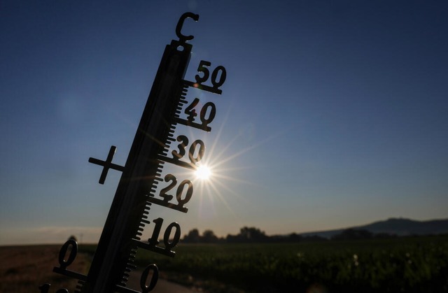 Knapp 40 Grad sollen die Thermometer im Laufe der Woche anzeigen (Symbolbild). | Foto: Thomas Warnack (dpa) Knapp 40 Grad sollen die Thermometer im Laufe der Woche anzeigen (Symbolbild). | Foto: Thomas Warnack (dpa)