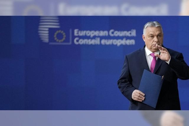 Die Macht von Orban ist brchig