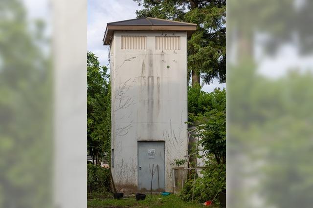 In dieses alten Trafohuschen in Waldkirch sollen Vgel einziehen – und Fledermuse