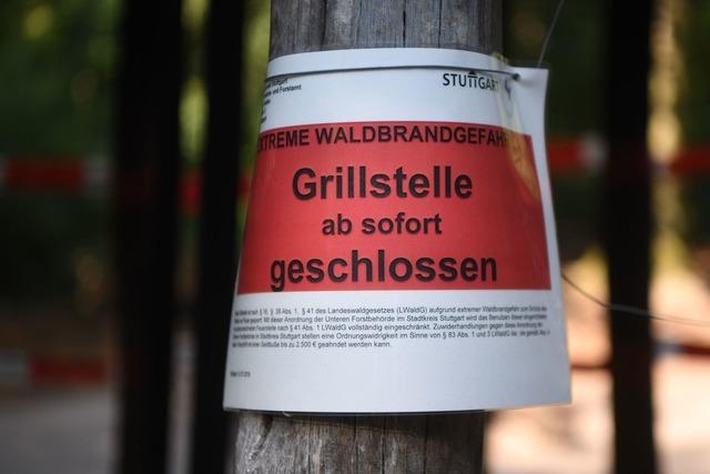 Gefahr von Waldbränden sehr hoch - auch Forstminister warnt
