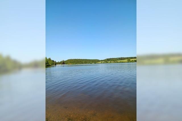 Notsituationen am See: So verhlt man sich laut DLRG richtig
