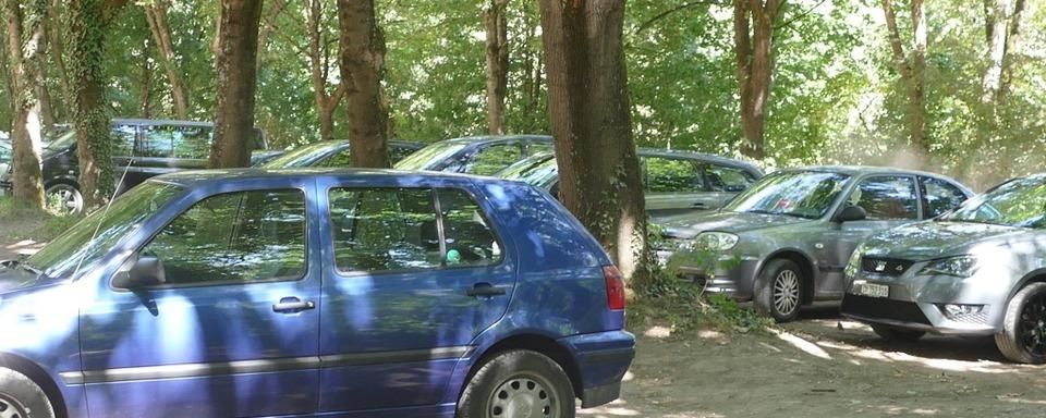 40 Fahrzeuge werden an den Isteiner Schwellen verwarnt