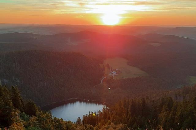 Hitze im Hochschwarzwald: So versuchen Unternehmen, Kommunen und Schulen damit klarzukommen