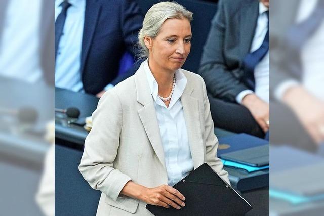 AfD-Verbot: So stehen die Chancen