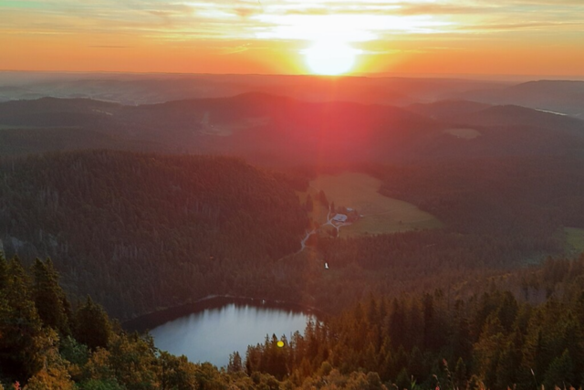 Hitze im Hochschwarzwald: So kommen Unternehmen, Kommunen und Schulen damit klar