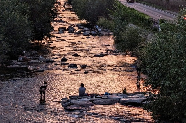 Sommerabend an der Dreisam  | Foto: Kathrin Blum