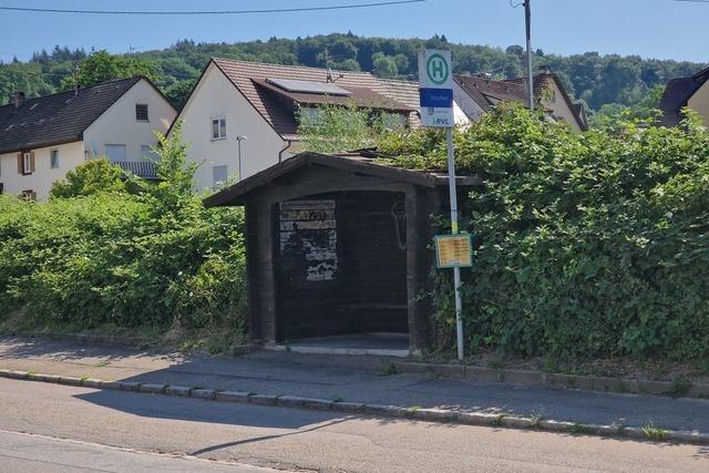 Wittlingen erhlt mit dem Linien 245 und 200 strkere Anbindung im ffentlichen Nahverkehr