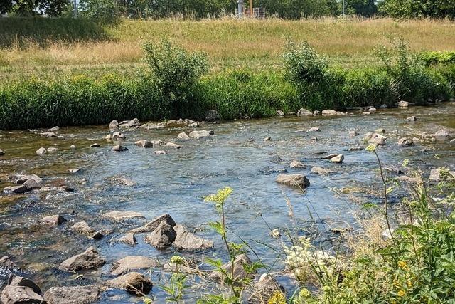 Landratsamt Emmendingen schrnkt Gemeingebrauch an Gewssern dauerhaft ein