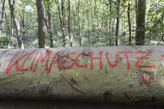 Klimaschutzagentur im Kreis Emmendingen startet mit Beratung zur Wrmewende