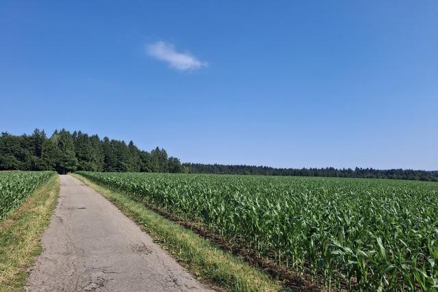 Grwihler Flche fr Windenergie wird deutlich kleiner