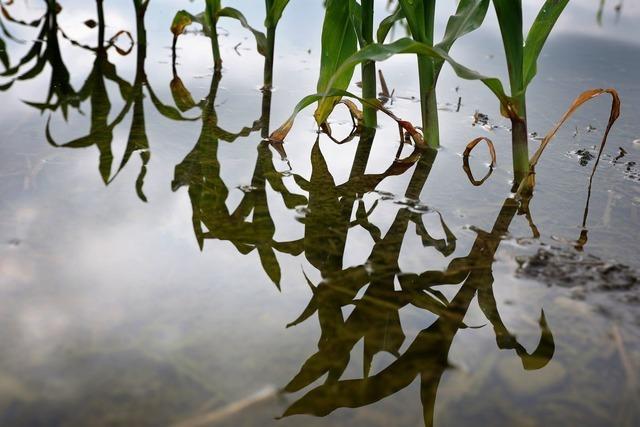 EU-Kommission will 90 Prozent weniger Emissionen bis 2040