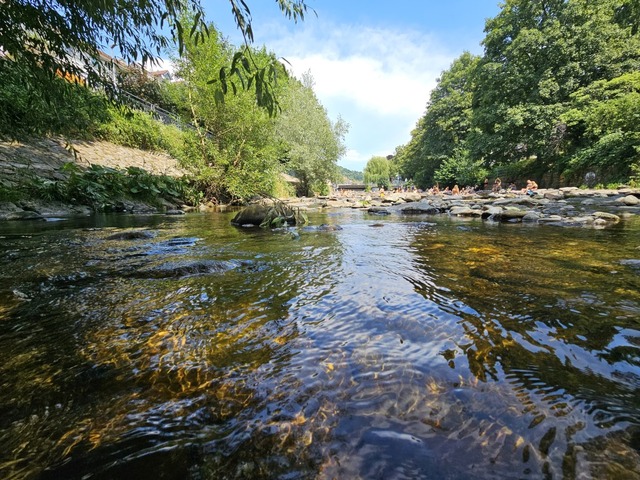 Auch die Dreisam bei Freiburg fhrt kaum noch Wasser.  | Foto: Andrea Schiffner