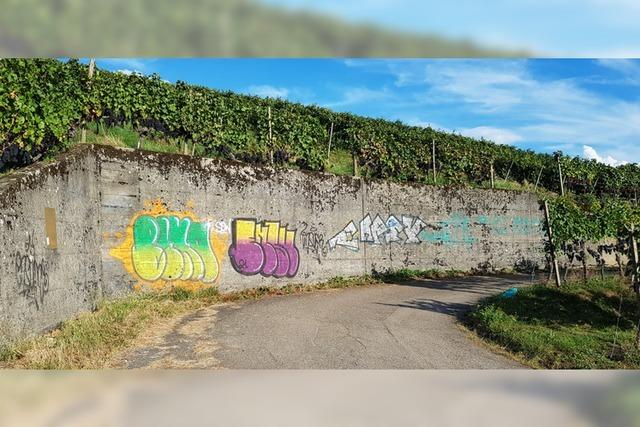 Waldkirch-Buchholz startet Umsetzung von Weingenussweg und Obstgenussweg