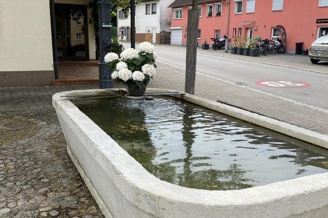 Stadt Lrrach wird Richtlinien fr Brunnenpatenschaft in Stetten berarbeiten