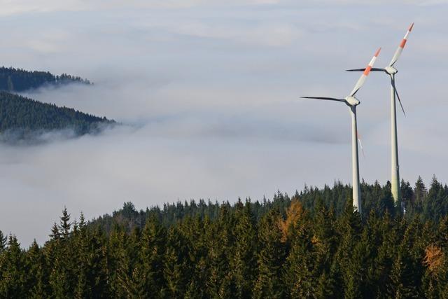 Infoveranstaltung zur Windkraft in Malsburg-Marzell: Konflikte prallen aufeinander
