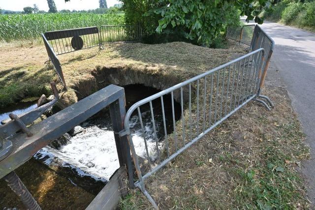 Weg mit unansehnlichen Bauzaun: Hochzeitsbrcke in Denzlingen bekommt Holzabsperrung