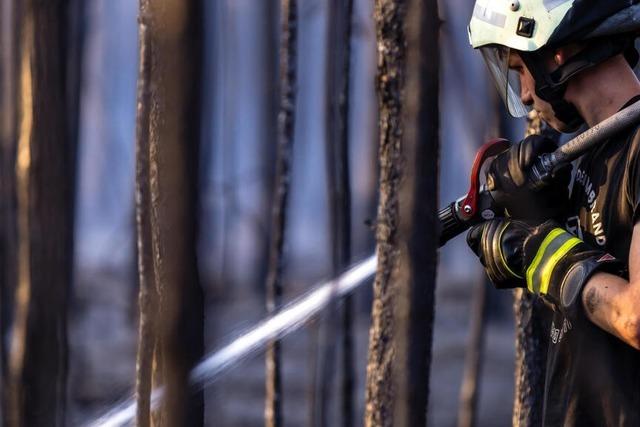 Die Waldbrandgefahr in der Region Freiburg ist hoch - was muss man beachten?