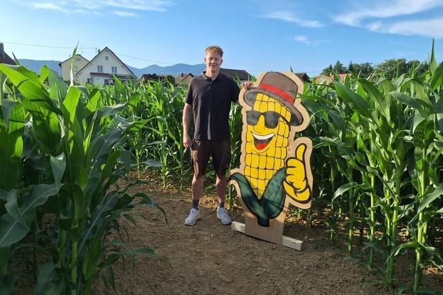 Das hat es mit dem neuen Maislabyrinth in Buggingen auf sich