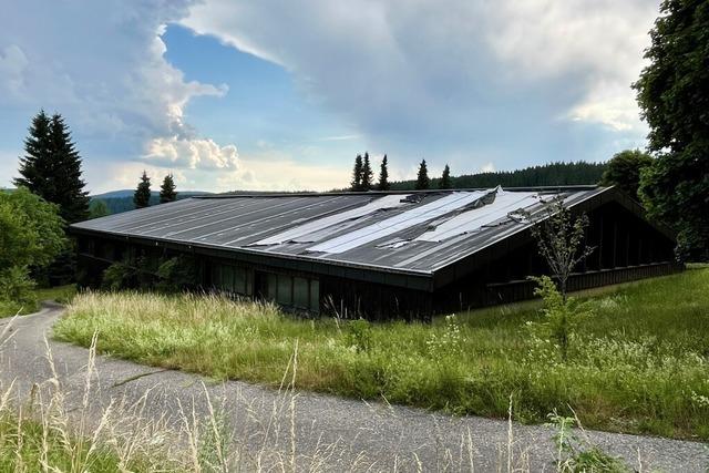 Tausende Marihuana-Pflanzen in Schluchsee und Ibach gefunden – zwei Mnner in U-Haft