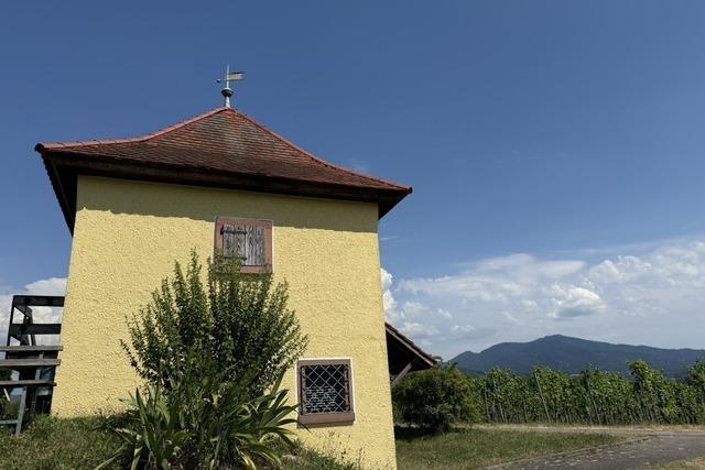 "Rebplausch" feiert Premiere: Wie die Hgelheimer Winzer zu Vorreitern in Sachen Wein-Events wurden