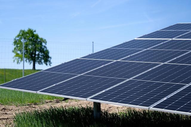 Neuer Solarpark in Breisach-Hochstetten geplant