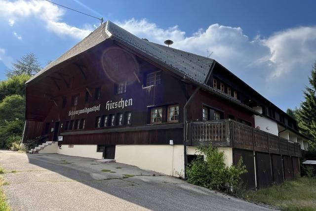 Polizei entdeckt bei Razzia Hanfplantage in Schluchsee und Ibach