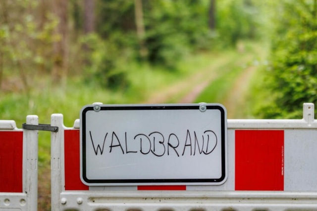 Die Waldbrandgefahr in der Region Freiburg ist hoch - was muss man beachten?