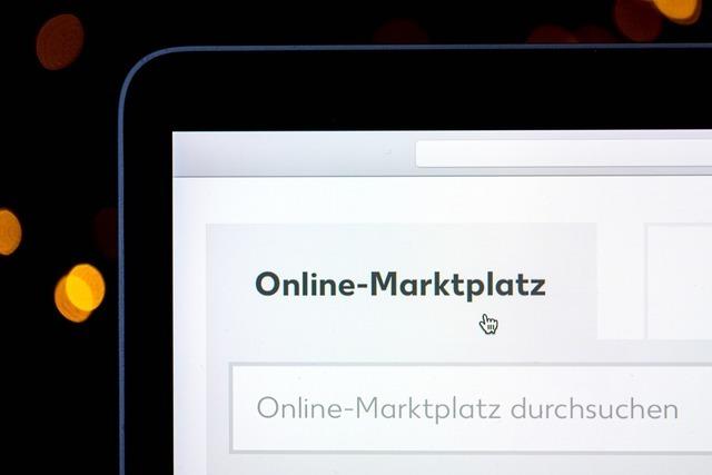 Kritik an Online-Marktplätzen - Produktangaben fehlen oft