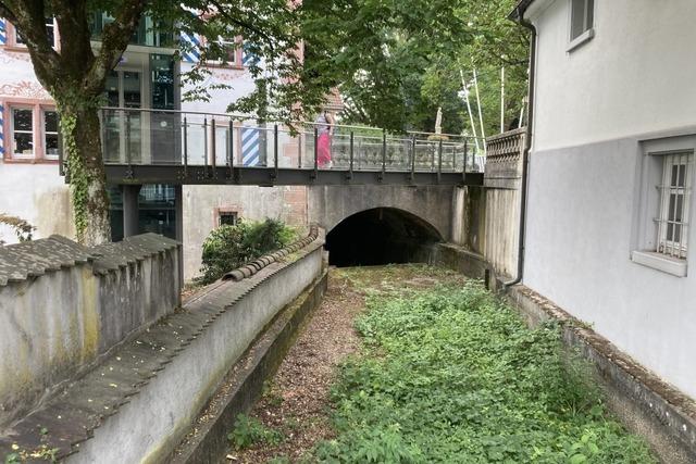 Blhwiese statt Bchle: Im Gewerbekanal in Wehr soll auch knftig kein Wasser mehr flieen