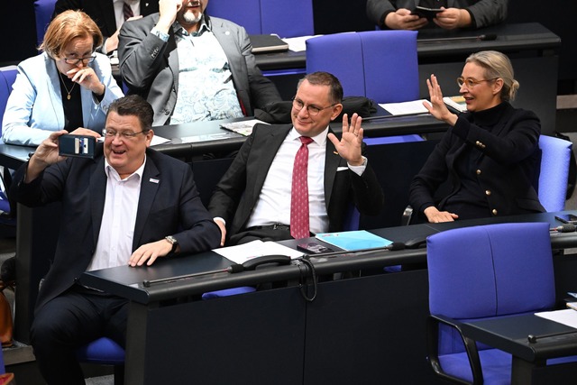 Besonders AfD-Abgeordnete sind in der ...im Parlament aufgefallen. (Archivfoto)  | Foto: Bernd von Jutrczenka/dpa