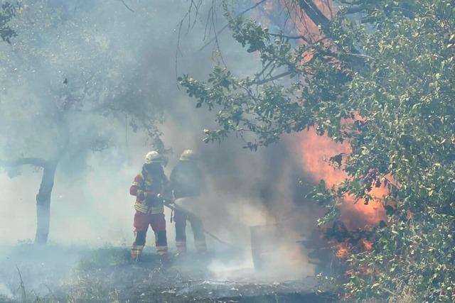 Im Kreis Waldshut gilt ein Feuerverbot – was man dazu wissen sollte