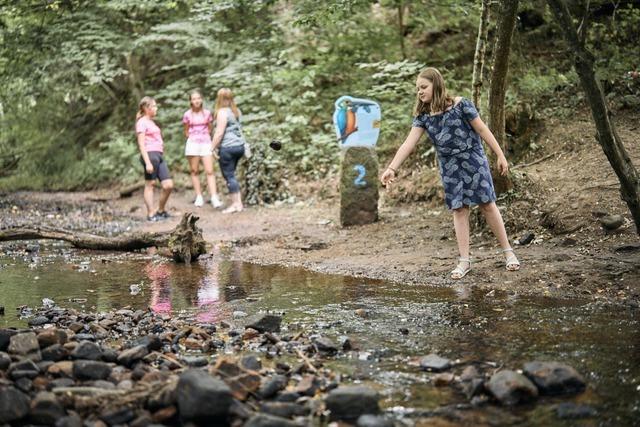 Scout fhrt am 12. Juli 2025 ber den Wasserpfad im Sulzbachtal in Lahr-Sulz