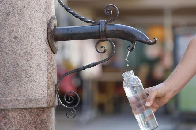 "Wir knnten vorangehen" – Neuenburg rstet sich fr die Folgen des Klimawandels