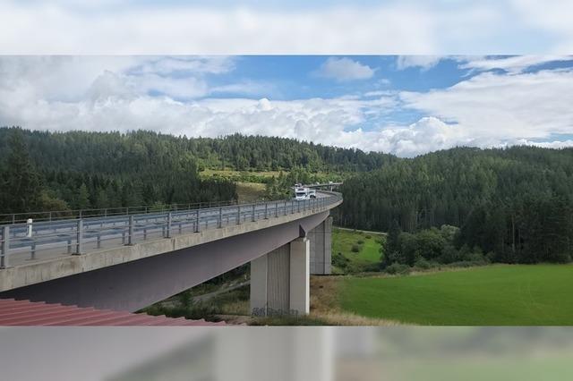 Behrde ist zuversichtlich, die Anforderungen an den Bau der Brcke bei Lffingen erfllen zu knnen