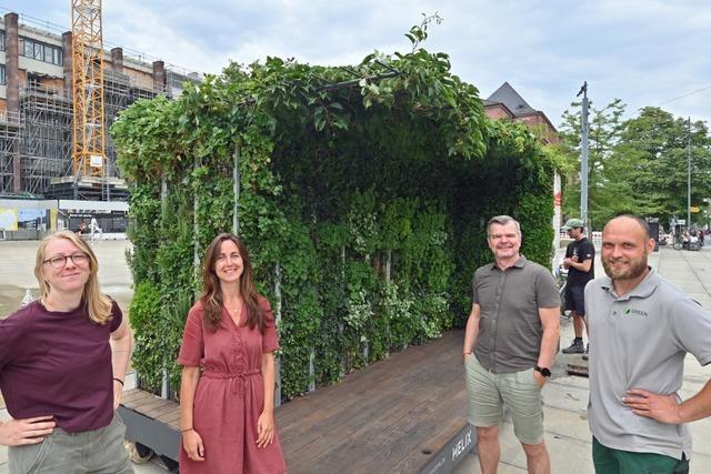 Mit einem Grünen Zimmer für den Hotspot will die Stadt Freiburg für ihre Klimaanpassungsstrategie werben